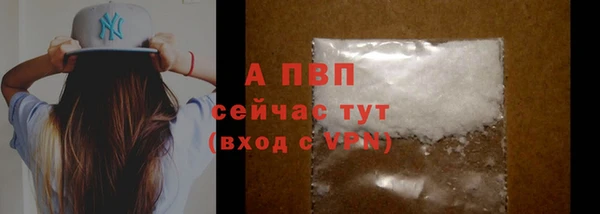 метадон Богданович