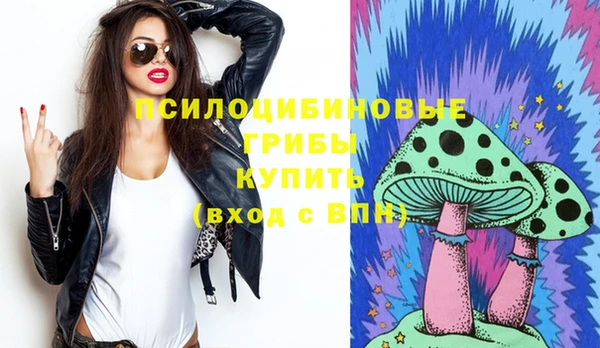 метадон Богданович