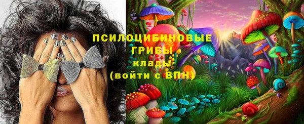 молекула духа Белоозёрский