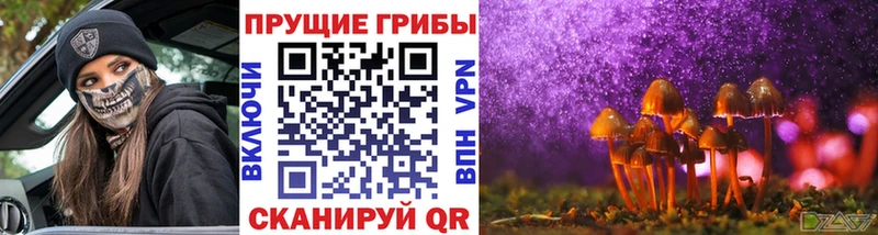 Псилоцибиновые грибы ЛСД  Красный Холм 